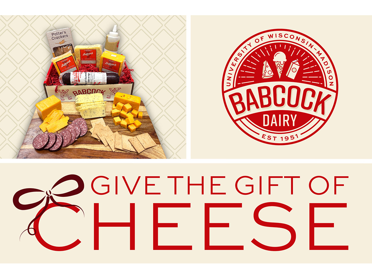 A Babcock Dairy cheese gift box with blocks of cheese, Potter’s Crackers, Beer Mustard and UW Summer Sausage is shown along with the Babcock Dairy logo and a tagline: Give the gift of cheese.