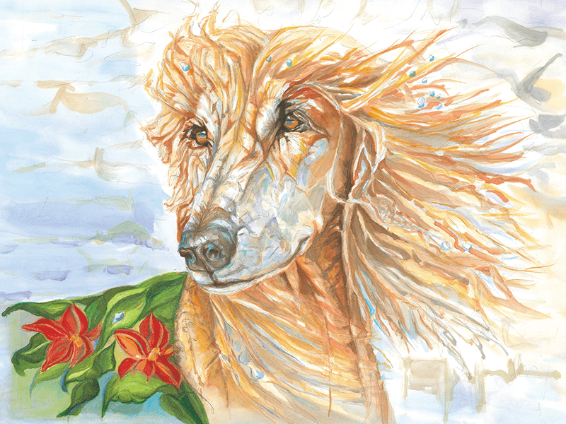 Cover art from the card entitled “Eyes of Light” which depicts a colorful watercolor of a dog.