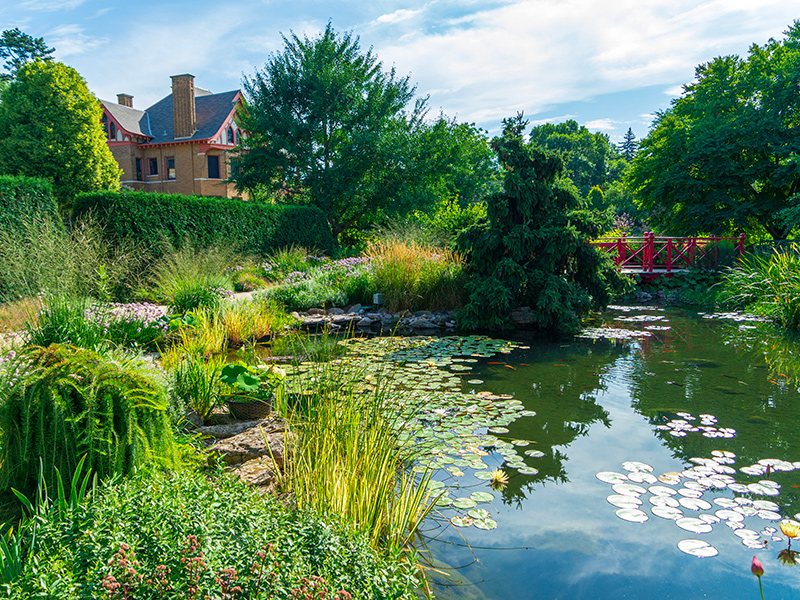 Scenic view of Allen Centennial Garden featuring a pond and many plants.